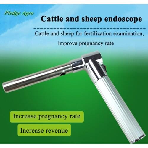 Endoscope sheep cattle veterinary instruments artificial insemination examine portable tools farming veterinaria farm animals