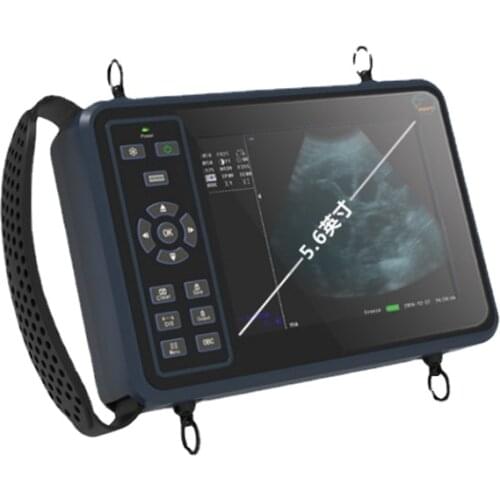 Veterinary B-ultrasound machine, sheep and cattle b-ultrasound pregnancy tester