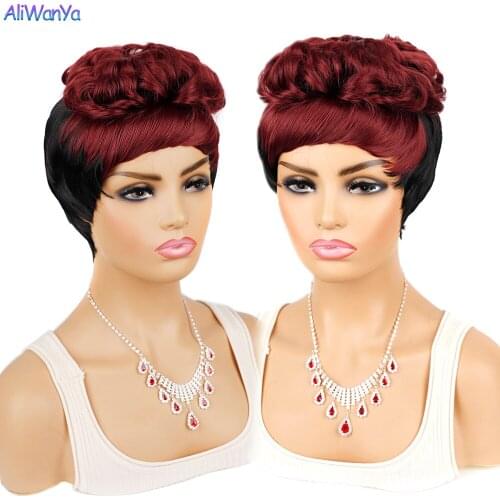 Aliwanya Black Wigs