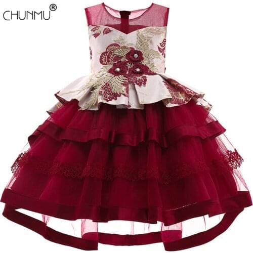 Baby Lace Tutu Princess Dress For Girl Elegant Embroidery Flower Birthday Party Girl Dress Baby Girls Clothes 3-10 Years