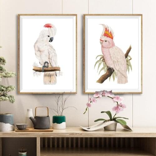 Vintage Bird Prints Pink Cockatoo Poster Watercolor Salmon-crested Cockatoo Painting Canvas Pictures Living Room Wall Art Decor