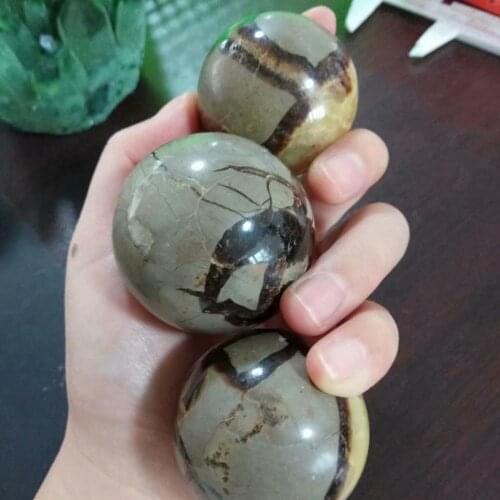 1 Piece 40mm Natural Septarium Turtle Stone Ball Crystal Stone Sphere Home Decoration Chakra Reiki Stone