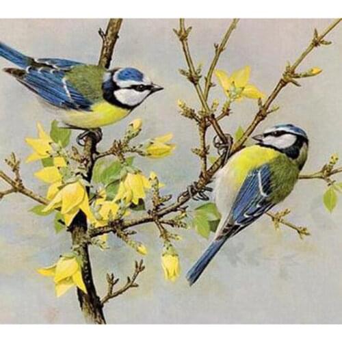 5D DIY Diamond Painting Animal Picture Birds Beauty Picture Square/Round Diamond Cross Stitch Decoration Artwork WG3050