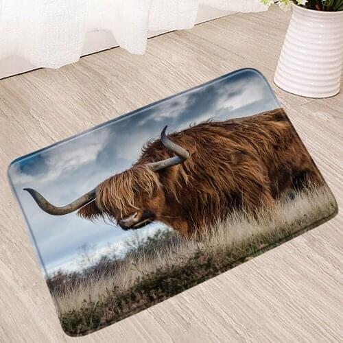 Cow Bath Mat Highland Cattle Animal Bull Bathroom Rug Kitchen Shower Toilet Bedside Doormat Douche Bath Room Carpet Non-Slip Mat