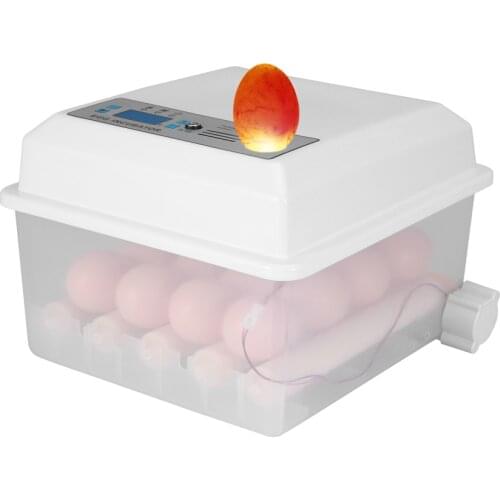 Turtle Platform Rest Tortoise Climbing Ladder Drying Basking Terrace Simulated Lawn Reptile Decoration Fish Tank Suction Cup