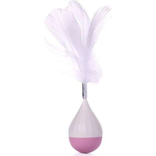 Legendog Cat Toy Funny Cats Stick Training Cat Tumbler Toy Interactive Feather Cat Chaser Toy Cat Teaser Toys Pet Product