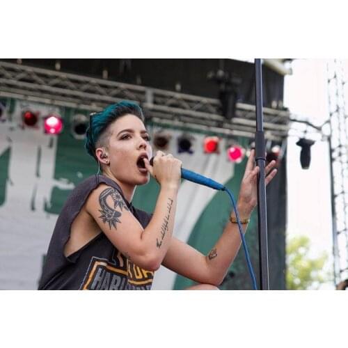 HALSEY Ashley Nicolette Frangipane Music Singer Silk Cloth Poster Art Bedroom Decoration