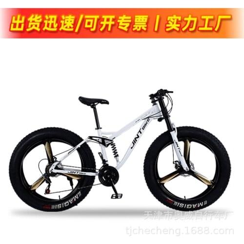 4.0 Fat Tyre MTB Bicycle Double Disc Brake Shoulders Shifting Off-road Mountain Bike