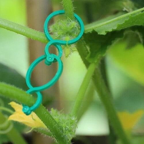 50/100pcs/lot Garden Plant Holder Trellis Clips Vegetable Plant Clip Vine Support Tomato Upright Stand Binding Growing Vege K4F9