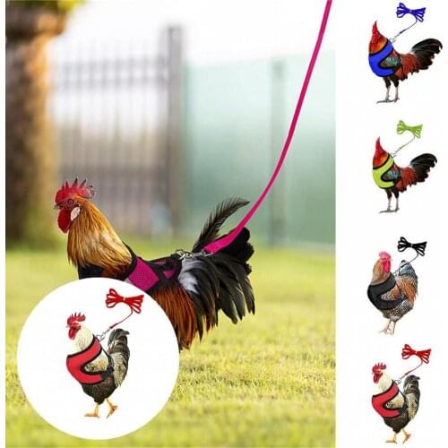 Adjustable 1 Set Wearable Outdoor Chicken Vest Harness Casual Chicken Vest Mesh Design for Cat Dog