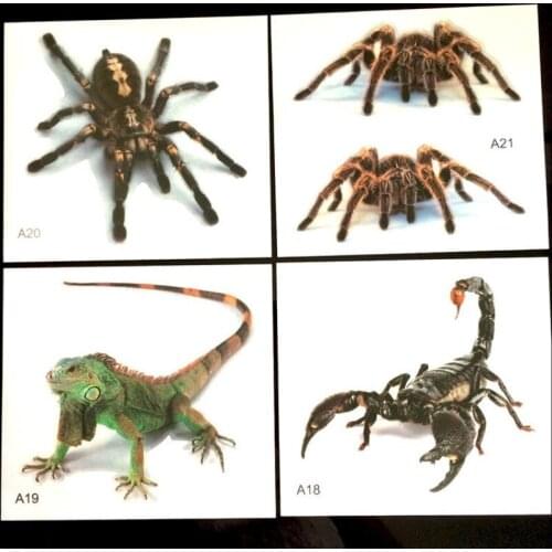 WL 3D Car Sticker Animals Bumper Spider Gecko Scorpions Car-styling Abarth Vinyl Decal Sticker Cars Auto Motorcycle Accessories