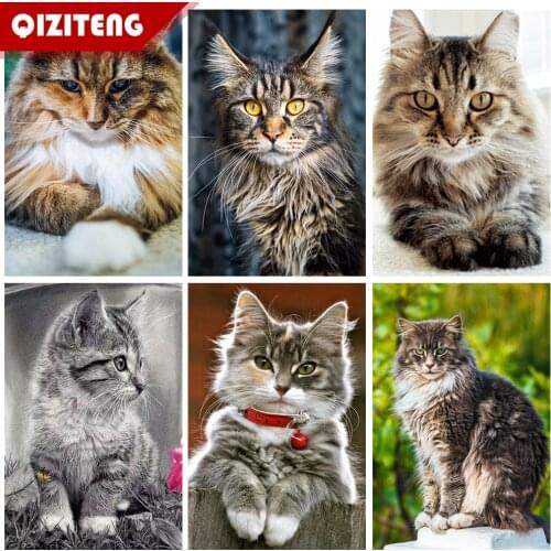 New Product 5D Diamond Painting Cat Full Square/Round Diy Diamond Embroidery Animal Mosaic Rhinestone Artist Home Furnishing