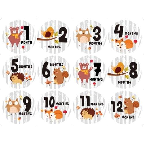 Baby Monthly Stickers,Baby First Year Month Age Growth Milestones Animal Stickers Unisex,1 to 12 Month