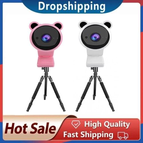 Computer Camera Cute Panda 1080P Free Drive With Microphone Webcam For Oline Course Teaching Live Video Conference Camcorders