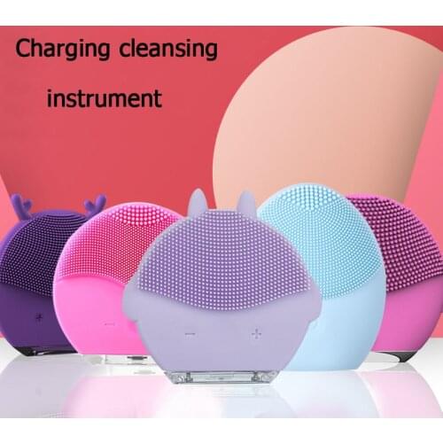 Silicone Electric Cleansing Facial Cleansing Brushes mini hifu limpieza facial wibrator USB Waterproof Girls gifts