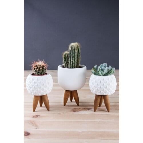 Tasarımbo Wooden Pots