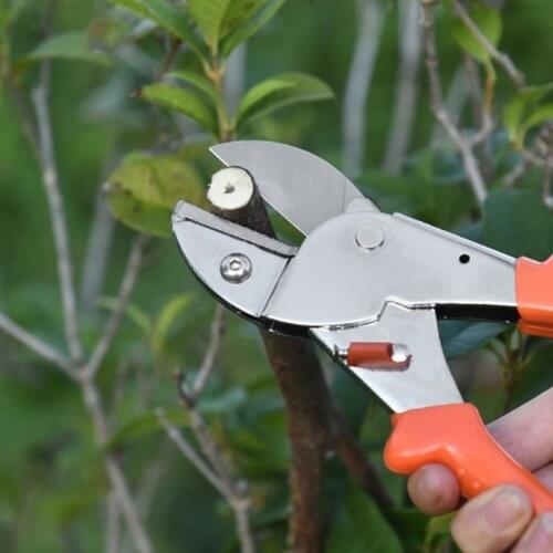 Thin Fruit Pruning Shears Reduce Plant Damage Easy to Operate Carbon Lightweight Professional Compact Sharp