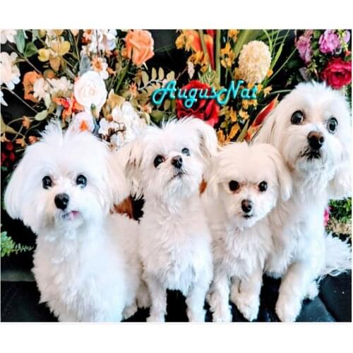 White dogs diamond painting cross stitch full round animals wall art diy diamond dotz diamond paint on canvas crystal drawing
