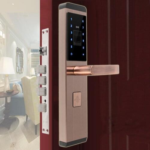 RAYKUBE Electric Locks China