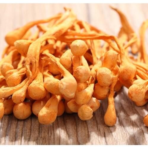 Chinese Wild Herbal Cordyceps Flower Sinensis Flower High Quality Pure Cao Hua For Improve Immunity