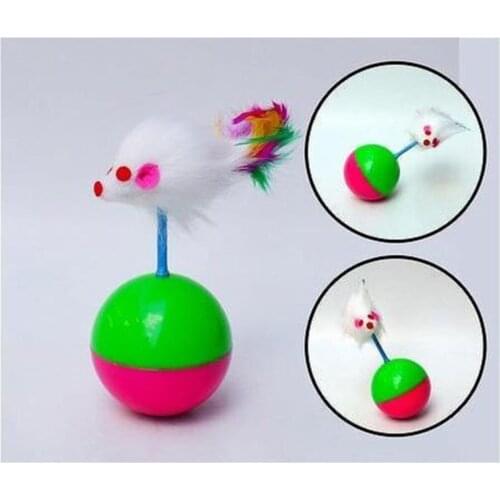 Turkish A2Z Pet Supplies