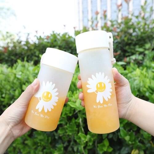 300ml/450ml Portable Leakproof Frosted Glass Double Water Bottle Little Daisy Printing Cup Creative Transparent Drinking Bottles