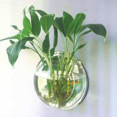 Nordic style 29.5CM Transparent Acrylic Hanging Wall Mounted Fish Tank Goldfish Vase Aquarium Plant Ecology Pot Home Decoration