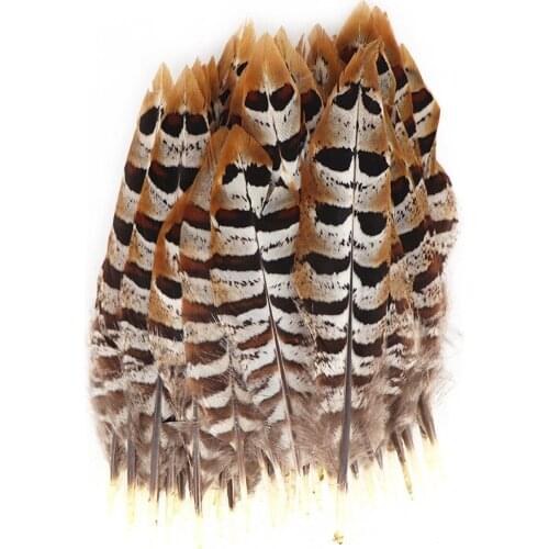 50pcs/lot Pheasant Tail Feathers 10-15CM Campanula Decor Clothing Feathers for Crafts Jewelry Making Decorative Plumes Plumas
