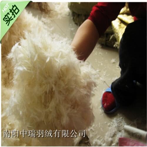 Bulk feather &white duck feather &pillow and coat filler / doghouse filler /500g price
