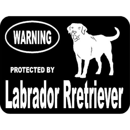 13.3cm*10cm Protected By Labrador Rretriever Fashion Car Styling Funny Car Sticker Decal Vinyl C5-1930