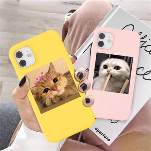 Ottwn Cute Animals Cats Cartoon Phone Case For iPhone 12 Pro Max 11 Pro Max X XR XS Max 7 8 Plus SE 2020 Soft TPU Silicone Cover