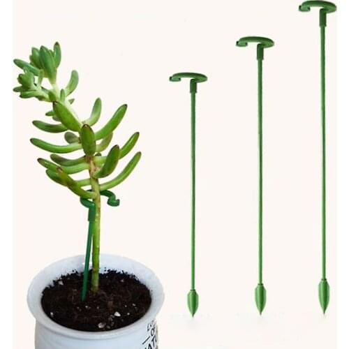 Succulent Phalaenopsis Supports plant potted flower shape support rod fixed anti-lodging Plants Flower Supporting Rack Garden