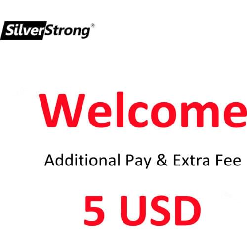 USD1 extra fee or surcharges payment link,no commodity on this link