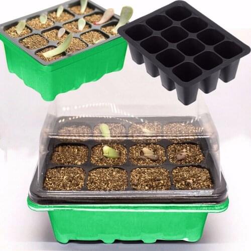 Big Cells Nursery Pot Seed Starter Pot Box with Transparent Cover 12 Holes Seeds Germination Tray Greenhouse Seedling Growth Box