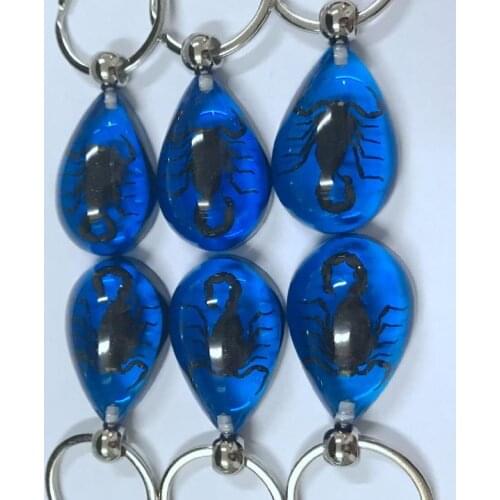 12 pcs Embedded Real Insect Specimens Popular Decorative Keychain Gifts Crafts