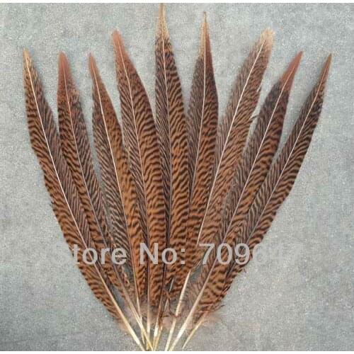 Hot sell! 50pcs/lot Natural Golden Pheasant Tail Feathers 8-10 inches 20-25cm long ,feathers decoration,plumas decorativas