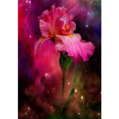 Diy diamond painting diamond embroidery Cross-stitch square drill full rhinestones wall art - Beautiful Red poppy flower A6533R