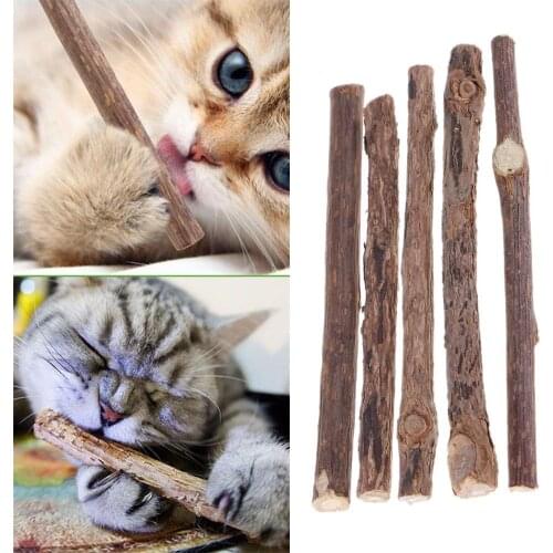 Catnip Toy Cat Toys Silvervine Actinidia Eco-Friendly Simulation Fish Funny Molar Stick Teeth Clean Chew Toy with Catnip