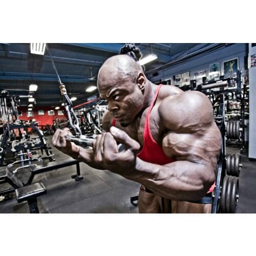 Kai Greene BodyBuilding Muscle Man ART SILK POSTER Decorative Wall painting 24x36inch