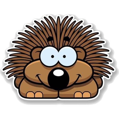 Dawasaru Cartoon Happy Hedgehog Car Sticker Personalized Decal Laptop Truck Motorcycle Auto Accessories Decoration PVC,15cm*11cm