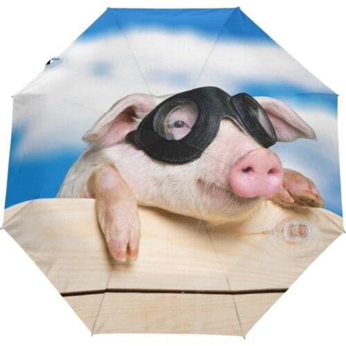 Creative Flying Pig Umbrella Automatic Women Rain Umbrellas Folding Compact Men Umbrella