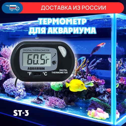 Зоотовары Вся-Чина China At AliExpress