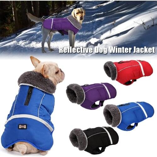 Blytieor Clothes And Footwear For Dogs