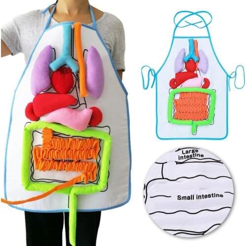 1pc Anatomy Apron Human Body Organs Educational Insights Human Organs Home Apron Aids Toys For Children Body Teaching Anato I7E5