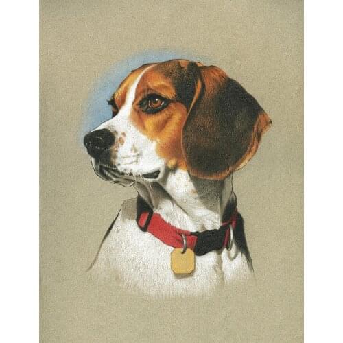 JMINE Div 5D beagle dog Full Diamond Painting cross stitch kits art High Quality Animal 3D paint by diamonds