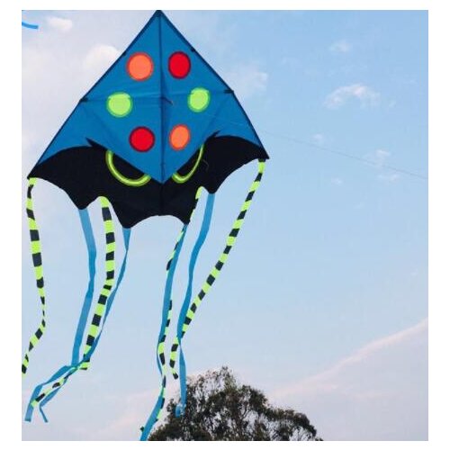 Outdoor toys kite adult flying toy kite acrobatic flying bird toy carbon kite single line fly floatant ripstop kite rainbow kite