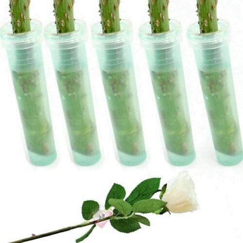 100Pcs Durable Flower Hydroponic Shop Supplies Plastic Tool Floral Garden With Cap Nutrition Tube Container Keep Fresh Water