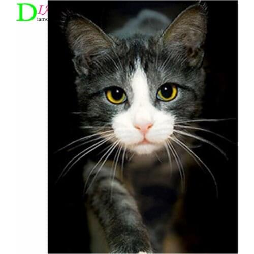 NEW Full Square Diamond Painting Cat 5D Diy Diamond Embroidery Animal Mosaic Picture Of Rhinestone Home Decoration Girl Hobby