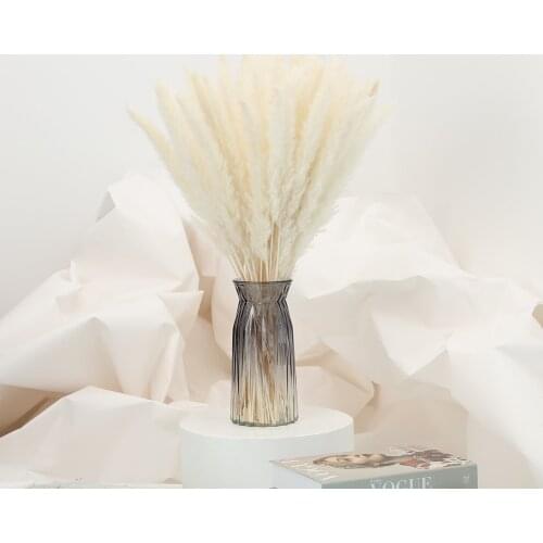30Pcs Pampas Grass White Decorative Dried Plants Dried Natural Flowers Bulrush Wedding Flower BunchNatural Phragmites Communis