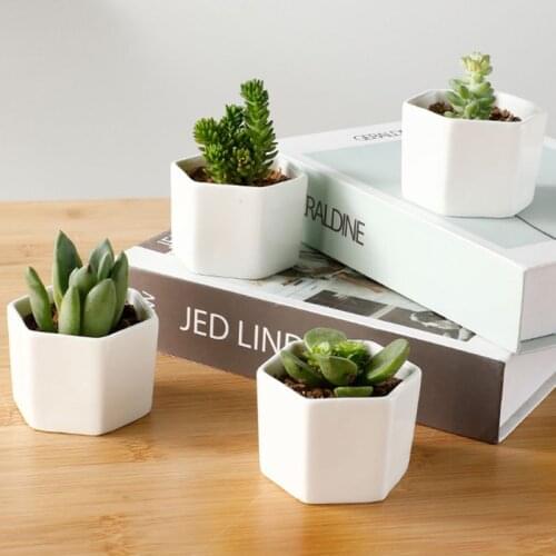 Geometic Ceramic Flower Pot White Succulents Pots With Drainage Bamboo Trays Succulent Planters Indoor Garden Planter Pots